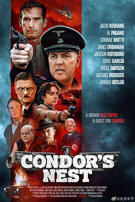 秃鹰的巢穴 Condor's Nest (2023)海报