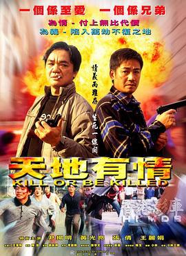 天地有情 (2002)海报