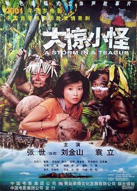 大惊小怪 (2000)海报