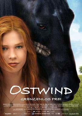 骏马奥斯温 Ostwind (2013)海报