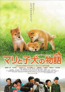 爱犬的奇迹 マリと子犬の物語 (2007)海报