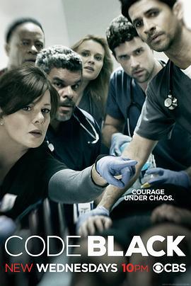 黑色警报 第一季 Code Black Season 1 (2015)海报