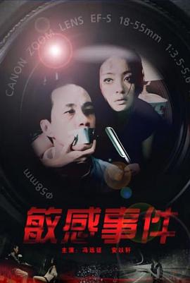 敏感事件 (2011)海报