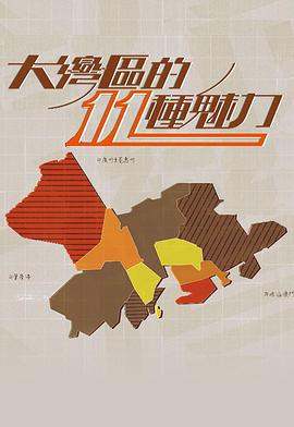 大灣區的11 種魅力 (2020)海报