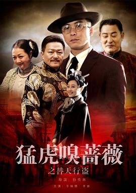 猛虎嗅蔷薇之替天行盗 (2017)海报