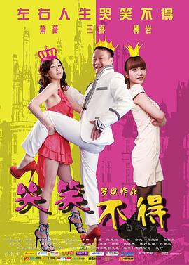 哭笑不得 (2012)海报