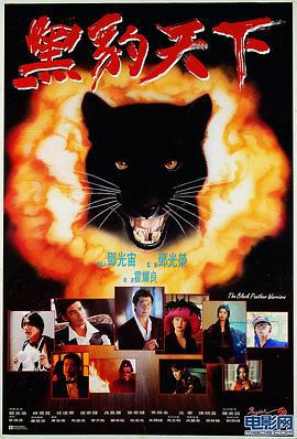 黑豹天下 (1993)海报