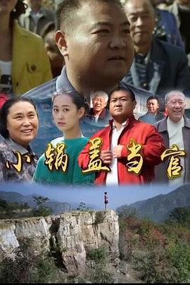 小锅盖当官 (2015)海报