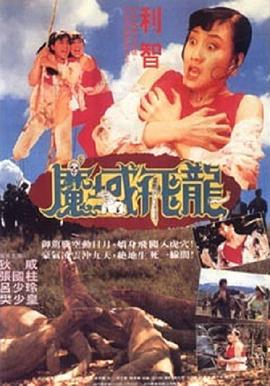 魔域飞龙 魔域飛龍 (1991)海报