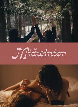 仲冬 Midwinter (2024)海报