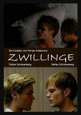 双胞胎 Zwillinge (2010)海报