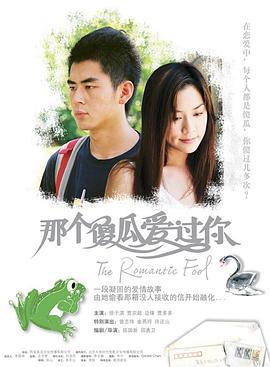 那个傻瓜爱过你 (2007)海报