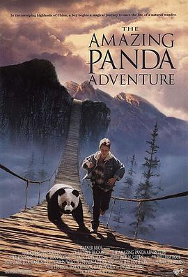 小猫熊历险记 The Amazing Panda Adventure (1995)海报