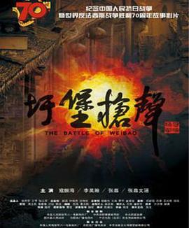 圩堡枪声 (2015)海报