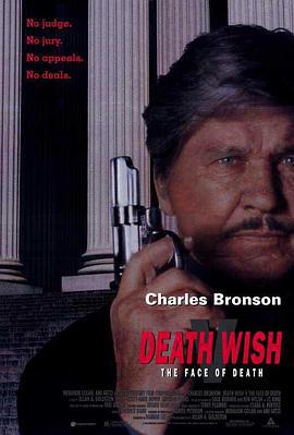 猛龙怪客5：死神现身 Death Wish V: The Face of Death (1994)海报