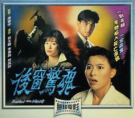 后窗惊魂 (1993)海报
