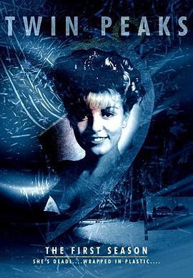 双峰 第一季 Twin Peaks Season 1 (1990)海报