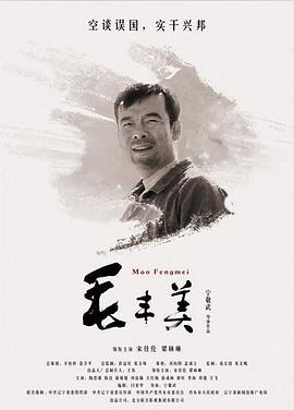 毛丰美 (2016)海报