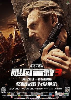 飓风营救3 Taken 3 (2014) guo_yu海报