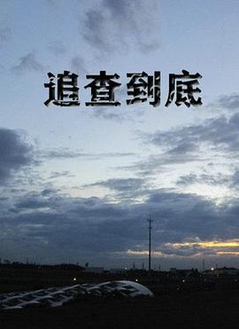 追查到底 (2015)海报