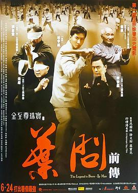 叶问前传 (2010)海报