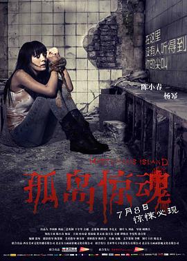 孤岛惊魂 (2011)海报