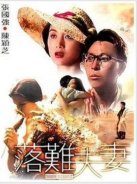 落难夫妻 落難夫妻 (1994)海报