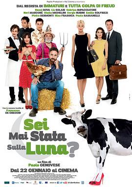 去过月球吗 Sei mai stata sulla luna? (2015)海报
