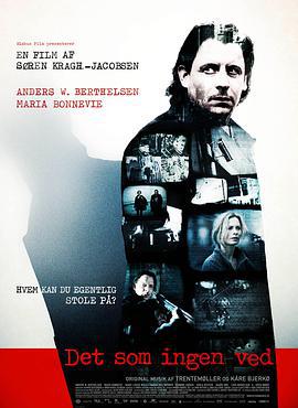 顶级阴谋 Det som ingen ved (2008)海报