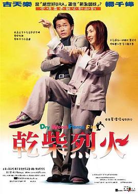 干柴烈火 乾柴烈火 (2002) zhong_zi海报