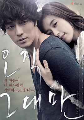 只有你 오직 그대만 (2011)海报