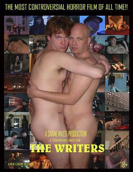 作家 the writers (2011)海报