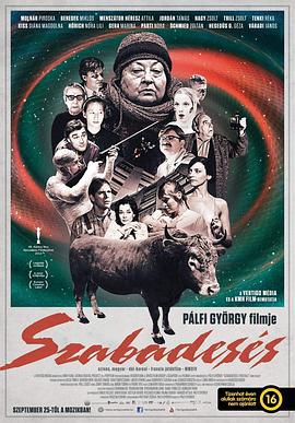 自由落体 Szabadesés (2014)海报