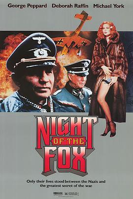 夜间的狐狸 Night of the fox (1990)海报