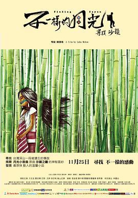 不一样的月光 不一樣的月光 (2011)海报