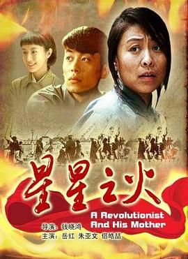 星星之火 (2007)海报