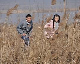 天鹅城之恋 (2011)海报