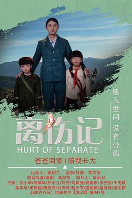 离伤记 (2024) yu_gao_pian海报