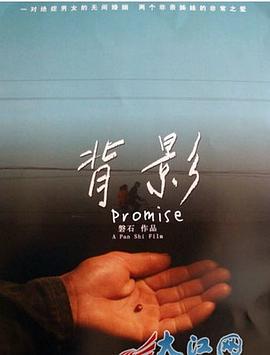 背影 (2011)海报