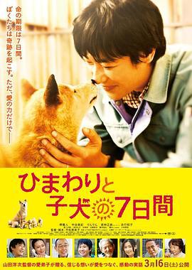 向日葵与幼犬的7天 ひまわりと子犬の7日間 (2013)海报