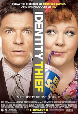 身份窃贼 Identity Thief (2013)海报