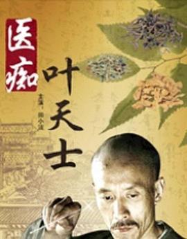 医痴叶天士 (2009)海报