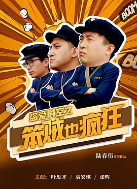 盗爱时空之笨贼也疯狂 (2017)海报