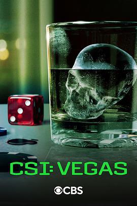 犯罪现场调查：维加斯 第三季 CSI: Vegas Season 3 (2024)海报