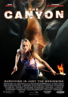大峡谷 The Canyon (2009)海报