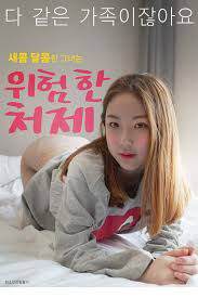 危险的小姨子海报