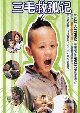 三毛救孤记 (2003)海报