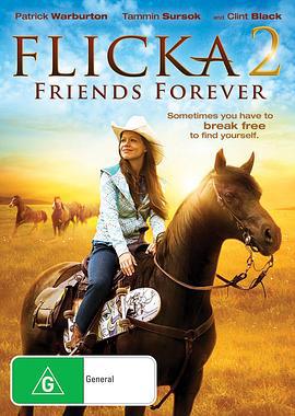 弗莉卡2 Flicka 2 (2010)海报