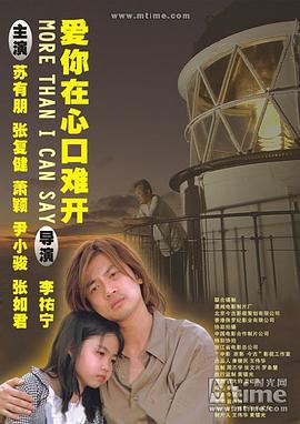 乌龙小子流浪记 (2004)海报