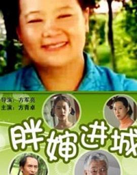 胖婶进城 (2006)海报